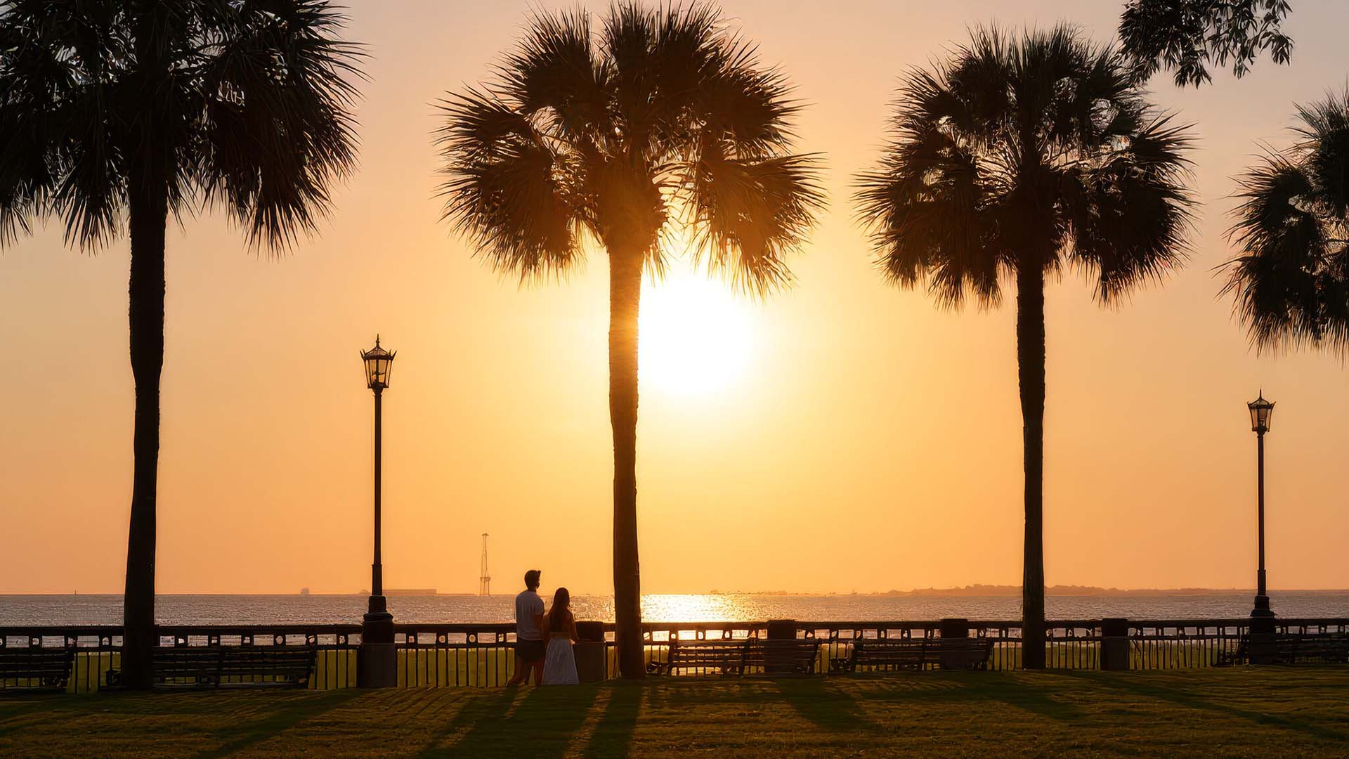 Couple walking along the shoreline in Charleston at sunrise under tall palm trees.