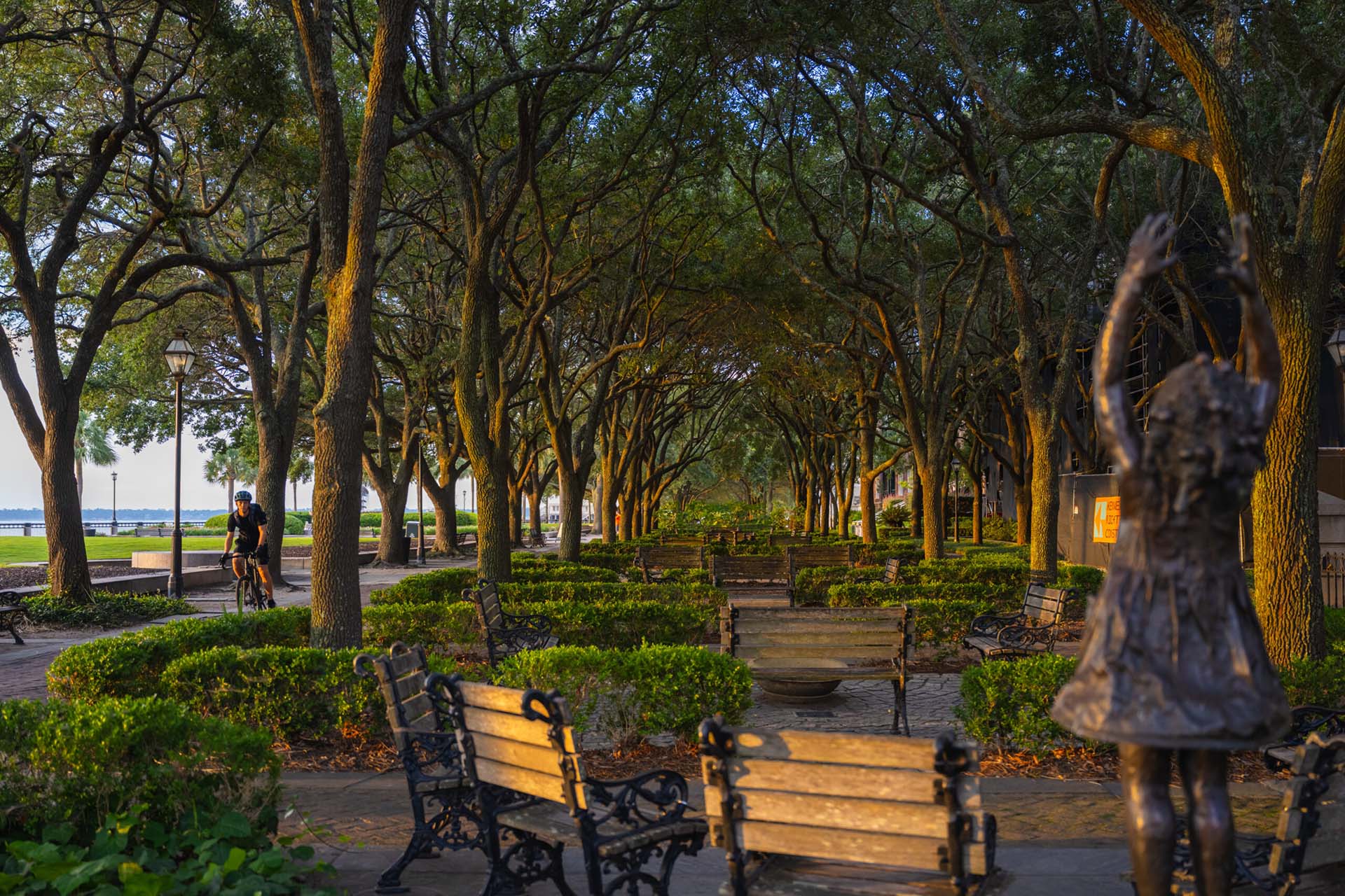 Waterfront Park walkway and live oaks near Laurel, A Collective apartments